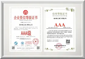 国家小巨人企业
