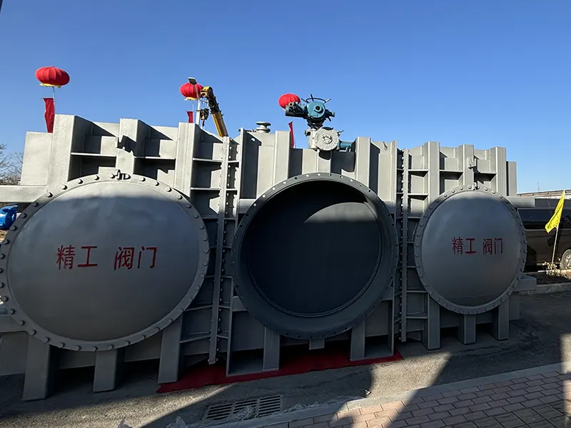 护目镜式盲板阀 - 5