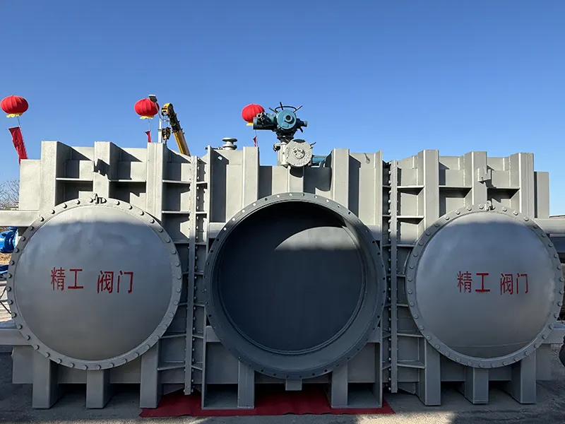护目镜式盲板阀 - 6